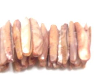 26 חרוזי צדף 2 כניסות, 5X45ממ, חום